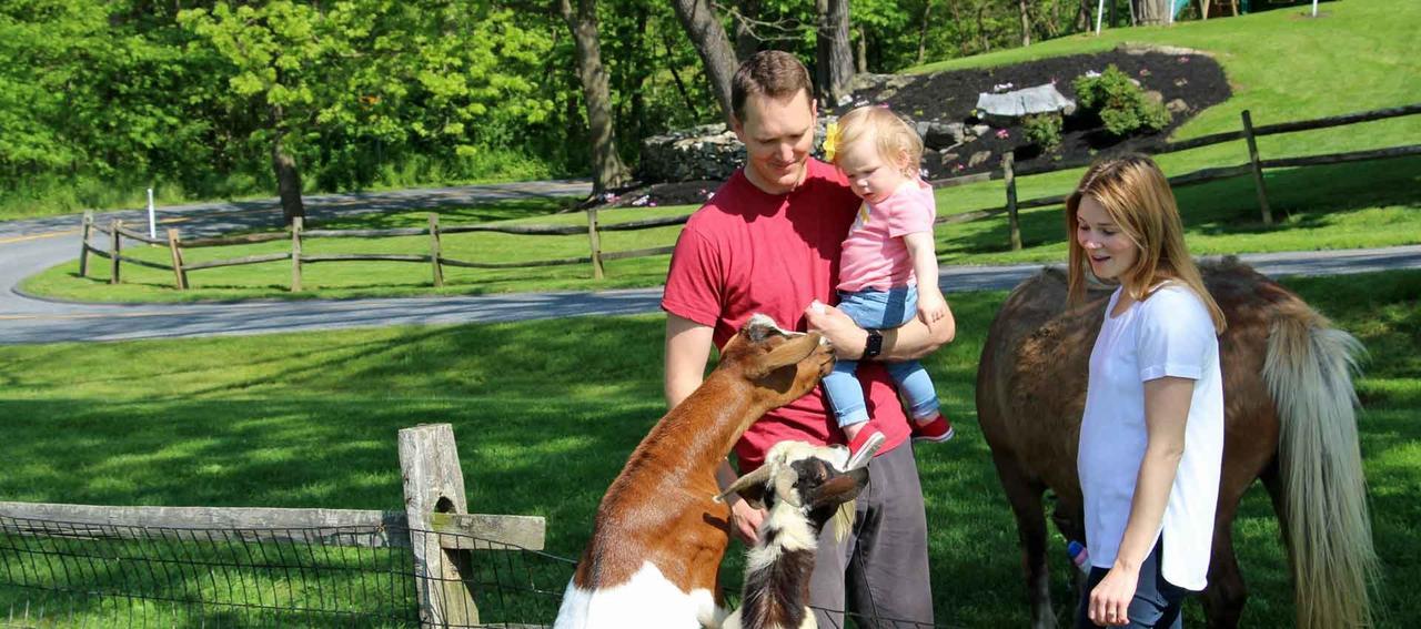 Rocky Acre Farm Bed & Breakfast Mount Joy 외부 사진