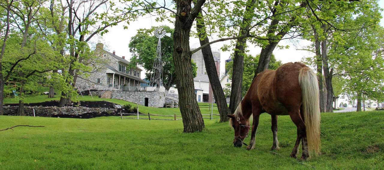 Rocky Acre Farm Bed & Breakfast Mount Joy 외부 사진